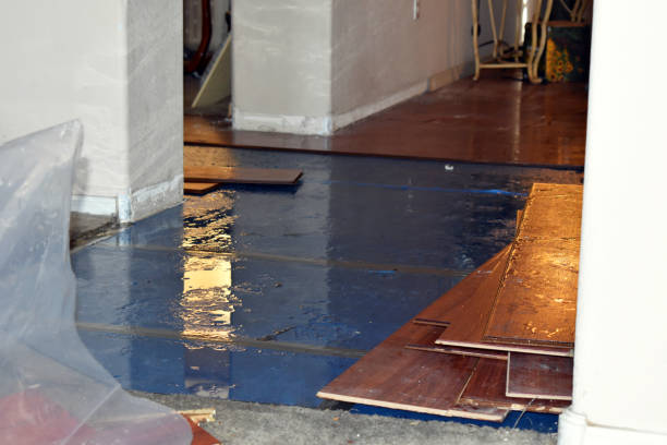 Professional Water Damage Restoration technician working in Harrison, NJ