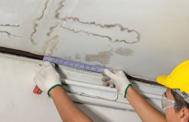 Reliable Water Damage Restoration contractor in Harrison, NJ by Water Damage Irwin